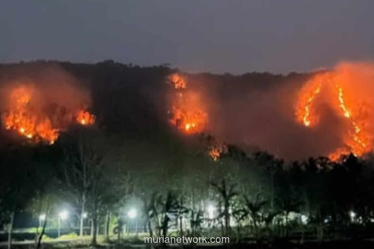 Kebakaran Lahan di Perbukitan Bantul dan Gunungkidul Hanguskan 10 Hektare