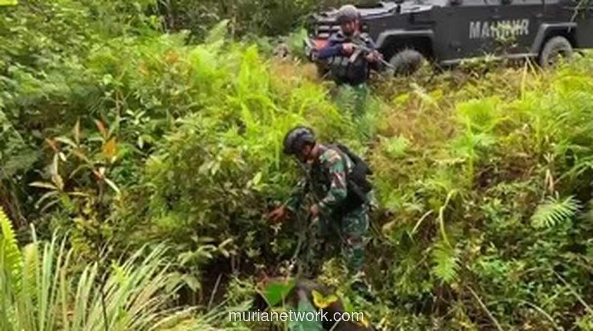 Koops Habema Lumpuhkan Dua Anggota OPM Saat Evakuasi Jasad Warga di Yahukimo