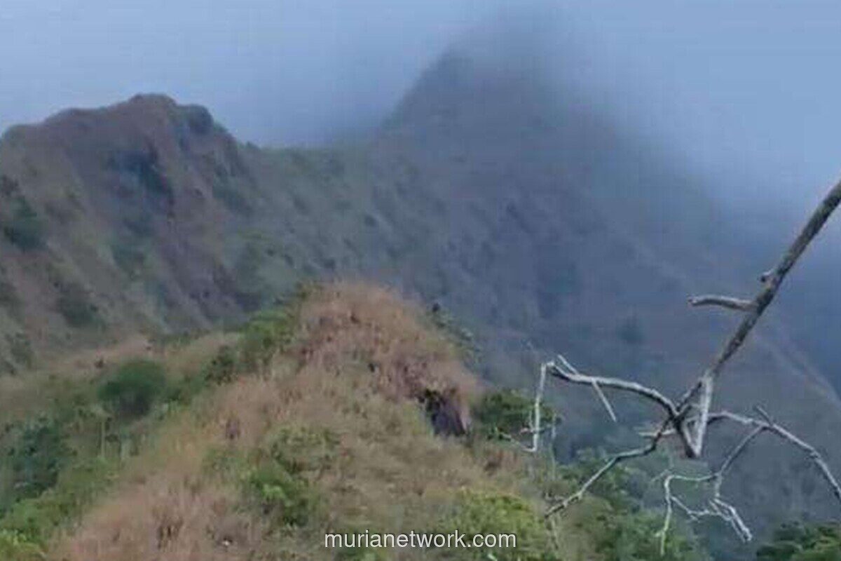 Evakuasi Dua Pendaki Gunung Piramid Terkendala Medan Terjal