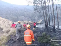Kebakaran Bromo Meluas ke Empat Kabupaten, Angin Kencang Hambat Pemadaman
