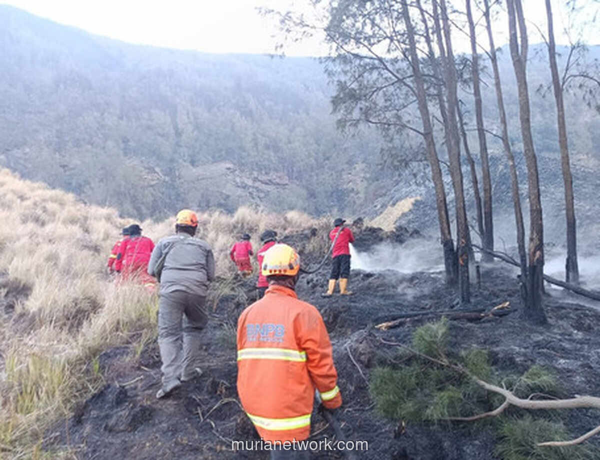 Kebakaran Bromo Meluas ke Empat Kabupaten, Angin Kencang Hambat Pemadaman