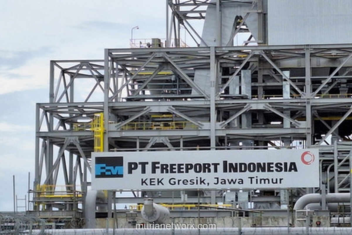 Freeport Ajukan Perpanjangan IUPK, Target Operasional Tambang Bawah Tanah hingga 2041