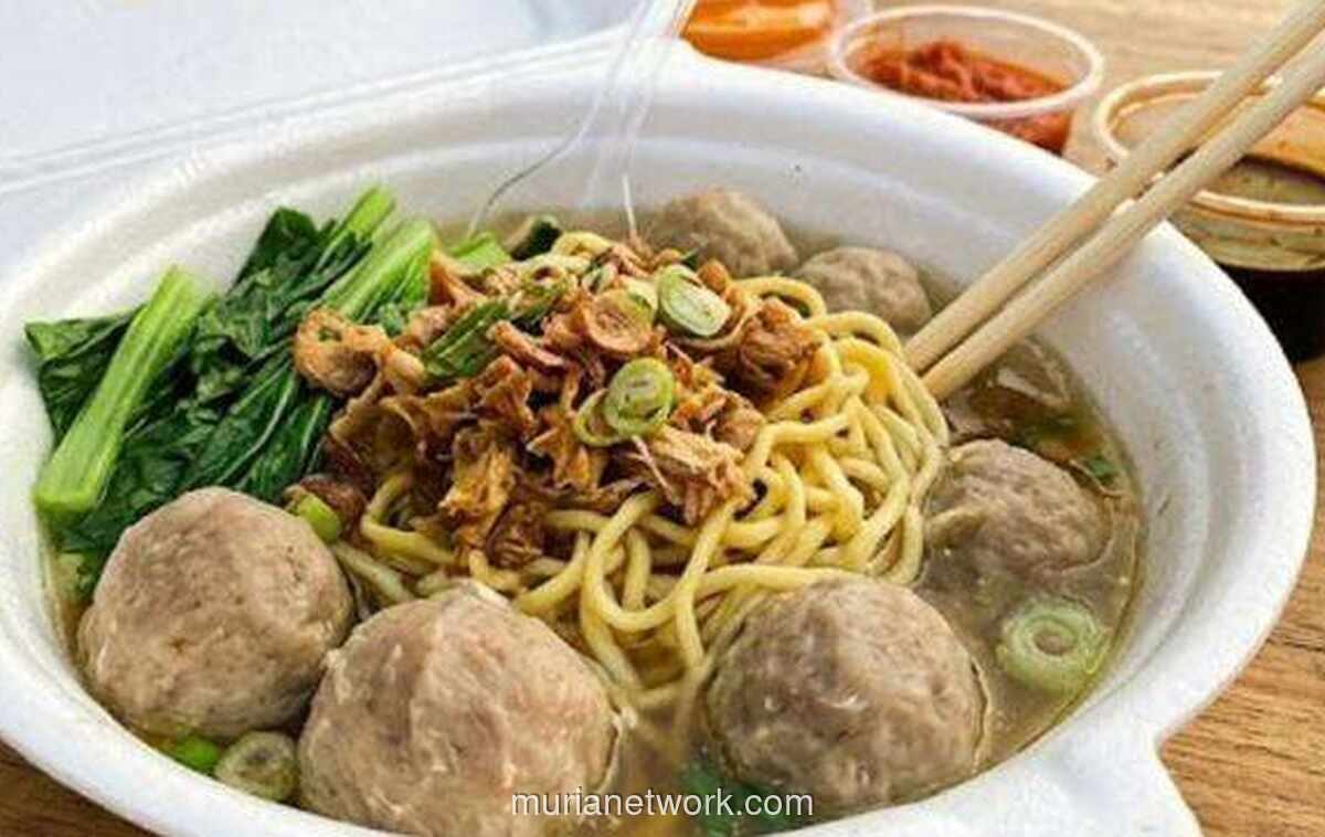 Alternatif Pengganti Styrofoam untuk Kemasan Makanan, Aman dan Ramah Lingkungan