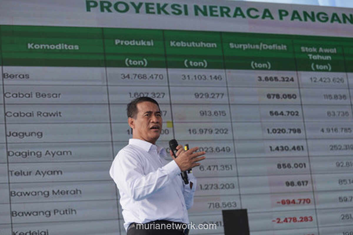 Pemerintah Tarik Beras Fortifikasi Tak Sesuai Standar dari Peredaran