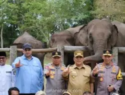 Anggota DPR Soroti Kematian Anak Gajah di Aceh, Minta Pemerintah Perkuat Pencegahan Virus