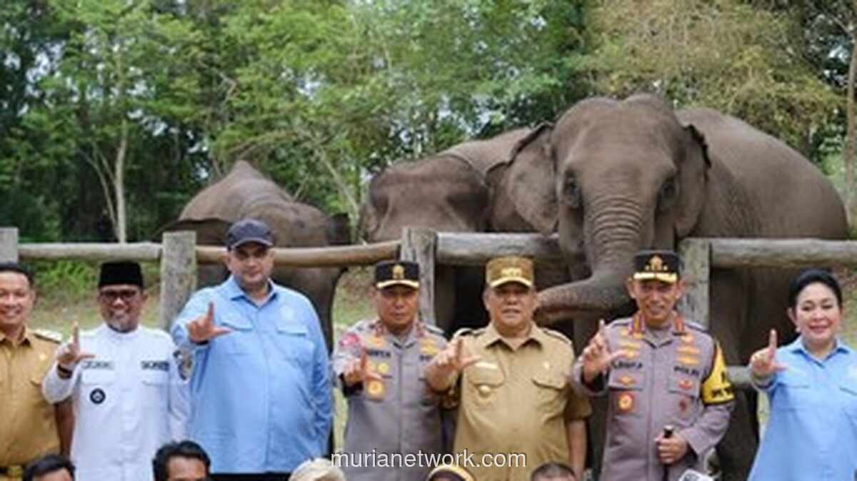 Anggota DPR Soroti Kematian Anak Gajah di Aceh, Minta Pemerintah Perkuat Pencegahan Virus