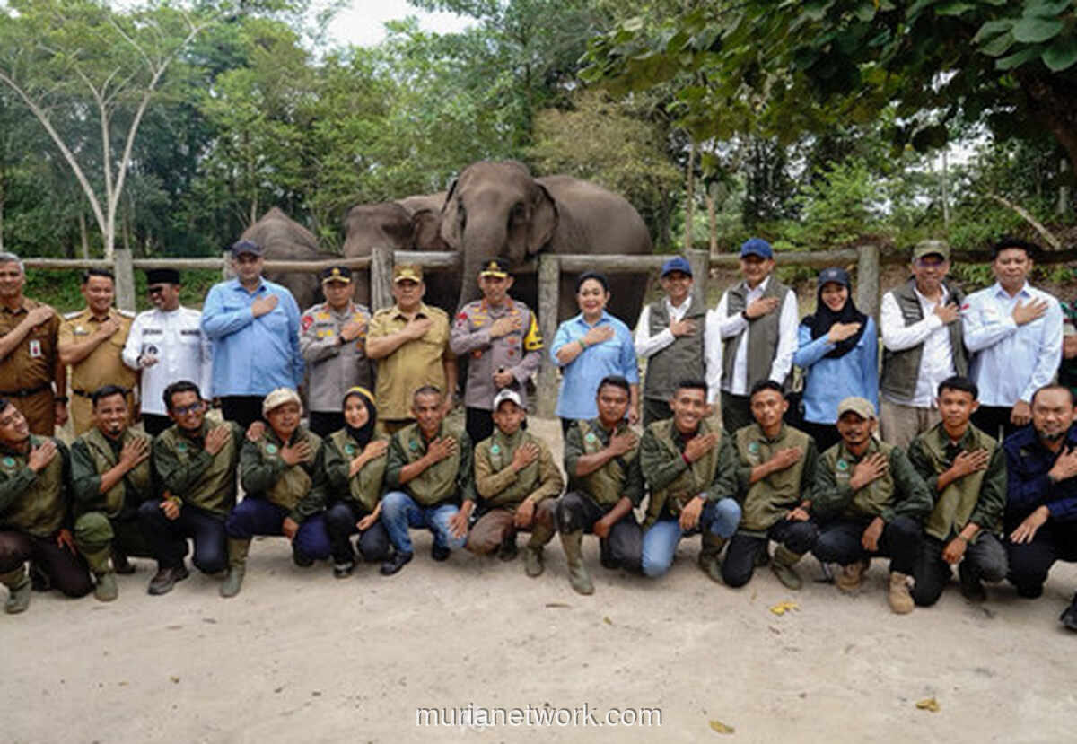 Anggota DPR Dorong Pemerintah Perkuat Antisipasi Virus EEHV setelah Kematian Anak Gajah di Aceh