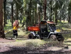 Astra Agro Lestari Raup Laba Rp1,10 Triliun hingga Semester I-2026
