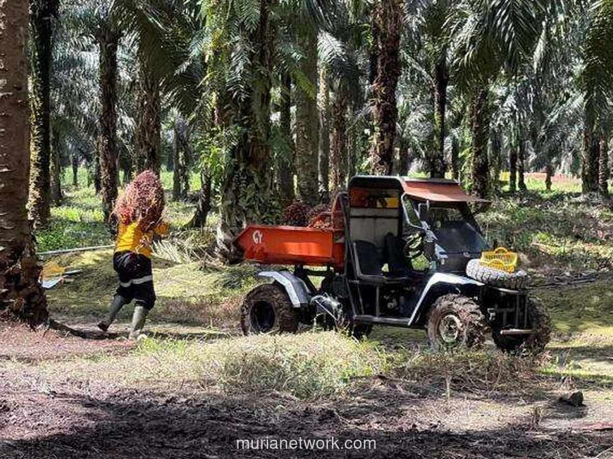 Astra Agro Lestari Raup Laba Rp1,10 Triliun hingga Semester I-2026