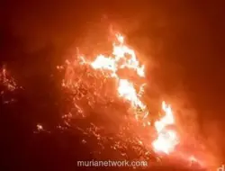 Kebakaran Hutan di Bromo Meluas, Akses Wisata Ditutup Total