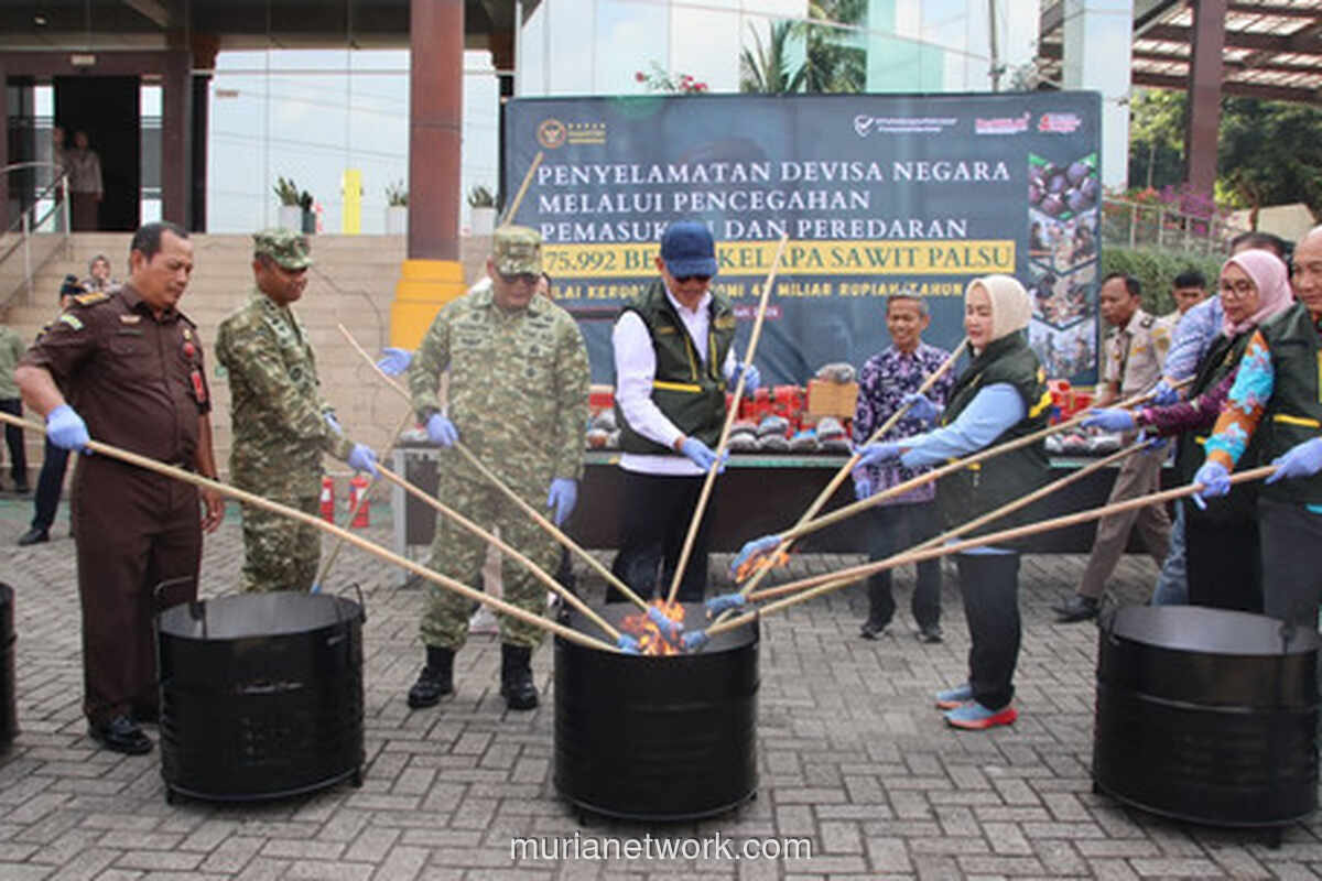 Barantin Gagalkan Peredaran 75.992 Bibit Sawit Ilegal, Kerugian Capai Rp42 Miliar per Tahun
