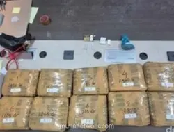 Bareskrim Bongkar Penyelundupan 10 Kg Ganja Lewat Bus ALS, Disamarkan dengan Gula dan Dodol