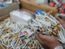 Bea Cukai Semarang Gagalkan Penyelundupan 3,28 Juta Batang Rokok Ilegal