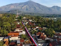 Bendera Merah Putih 600 Meter Membentang di Kaki Gunung Arjuno
