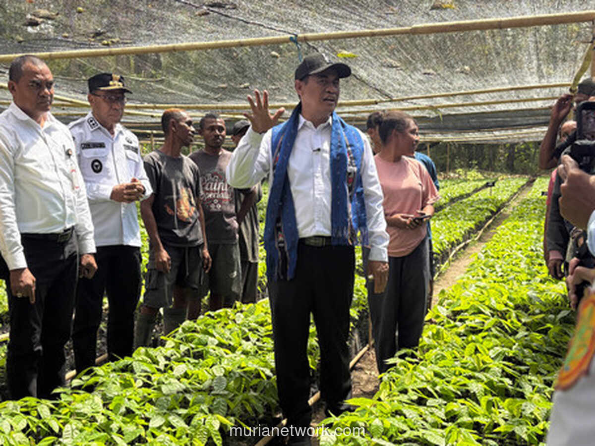 Kementan Targetkan 10.000 Hektare Lahan di Alor untuk Komoditas Unggul