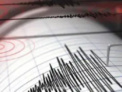 BMKG Catat 2.928 Gempa Susulan Guncang Flores, Terbaru M5,1