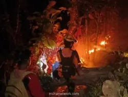 BNPB Catat 34 Bencana dalam Dua Hari, Mayoritas Karhutla dan Kekeringan