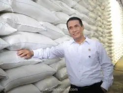 BPS Proyeksikan Produksi Beras Nasional Naik Tipis hingga September 2026
