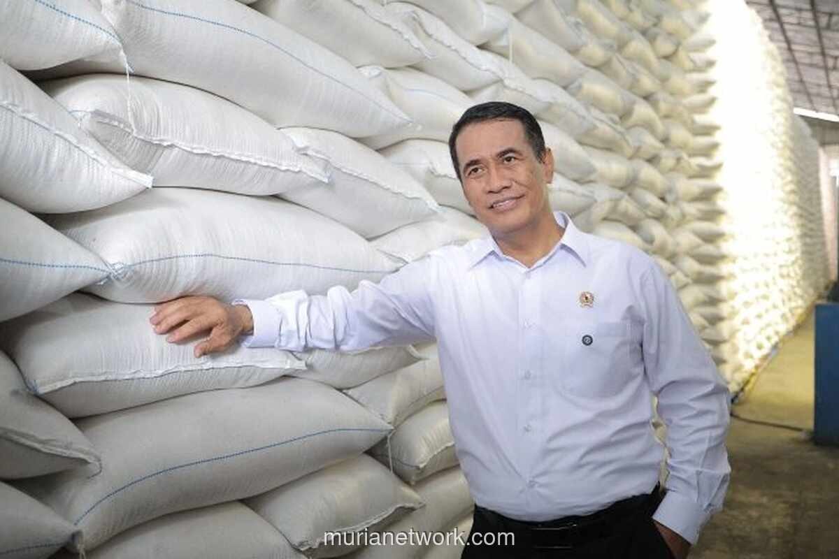 BPS Proyeksikan Produksi Beras Nasional Naik Tipis hingga September 2026