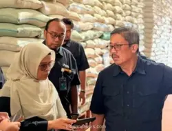 Stok Beras Bulog 5,25 Juta Ton, Penyerapan Gabah Petani Tembus 3,67 Juta Ton