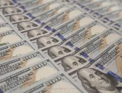 Cadangan Devisa Indonesia Bertahan di USD145,3 Miliar pada Juli 2026