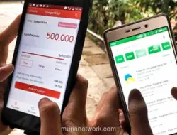 Pendanaan Pinjol dari Investor Asing Tembus Rp 17,28 Triliun