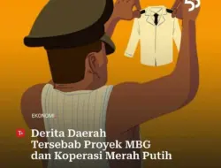 Pemangkasan Dana Transfer ke Daerah Picu Krisis Keuangan dan Gaji Pegawai Seret