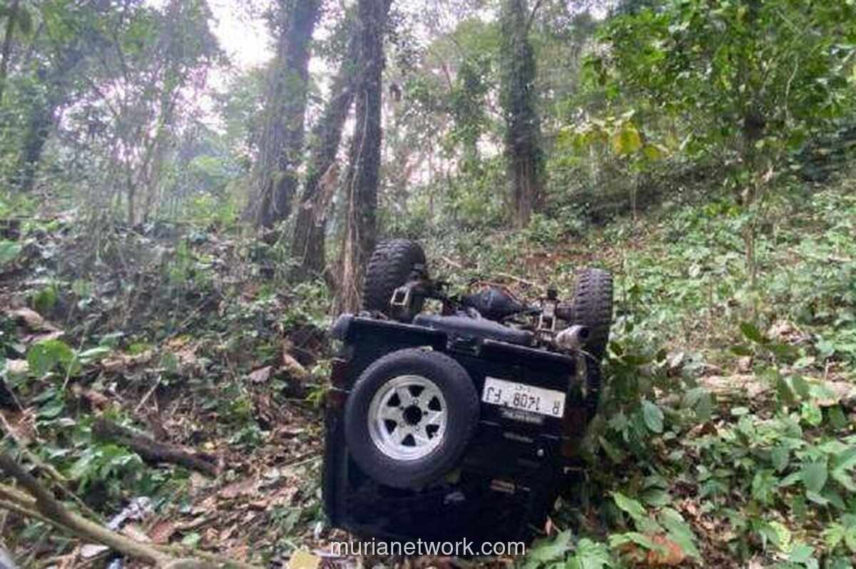 Mobil Terjun ke Jurang 20 Meter di Pekalongan, Balita Tewas