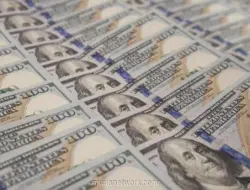 Dolar AS Terpuruk di Juli, Tertekan Data Ekonomi dan Kebijakan The Fed