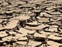 BMKG: Juli 2026 Terpanas Sejak 1991, Efek El Nino Diprediksi Berlanjut