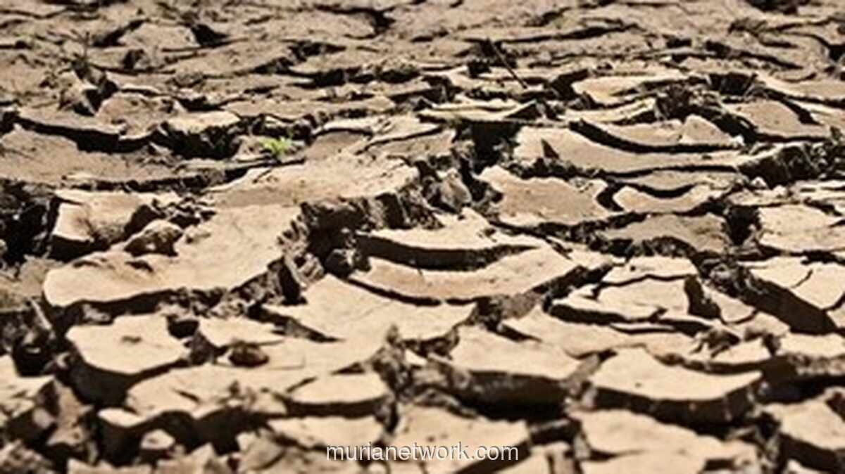 BMKG: Juli 2026 Terpanas Sejak 1991, Efek El Nino Diprediksi Berlanjut