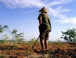 El Nino Diprediksi Hingga Oktober, Pemprov DKI Siapkan Modifikasi Cuaca Rutin