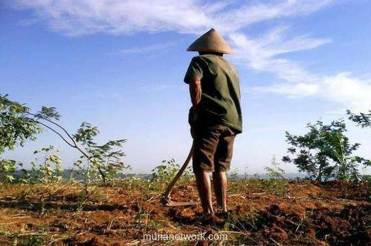 El Nino Diprediksi Hingga Oktober, Pemprov DKI Siapkan Modifikasi Cuaca Rutin