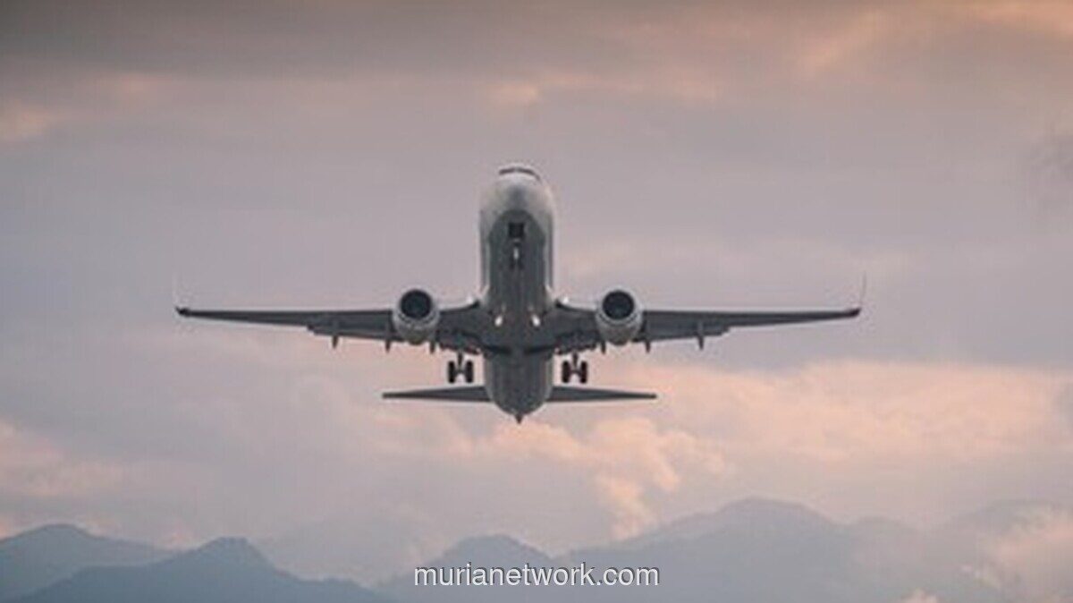 Pilot Air India Positif Ganja saat Pesawat Menukik 91 Meter