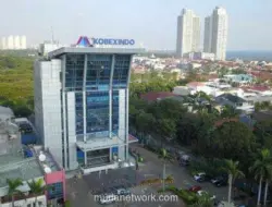 Fokus pada Produk China, Kobexindo Catat Pendapatan Rp1,02 Triliun