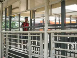 Pramono Anung Bongkar JPO Rasuna Said, Alihkan Semua Akses ke JPO Terintegrasi LRT