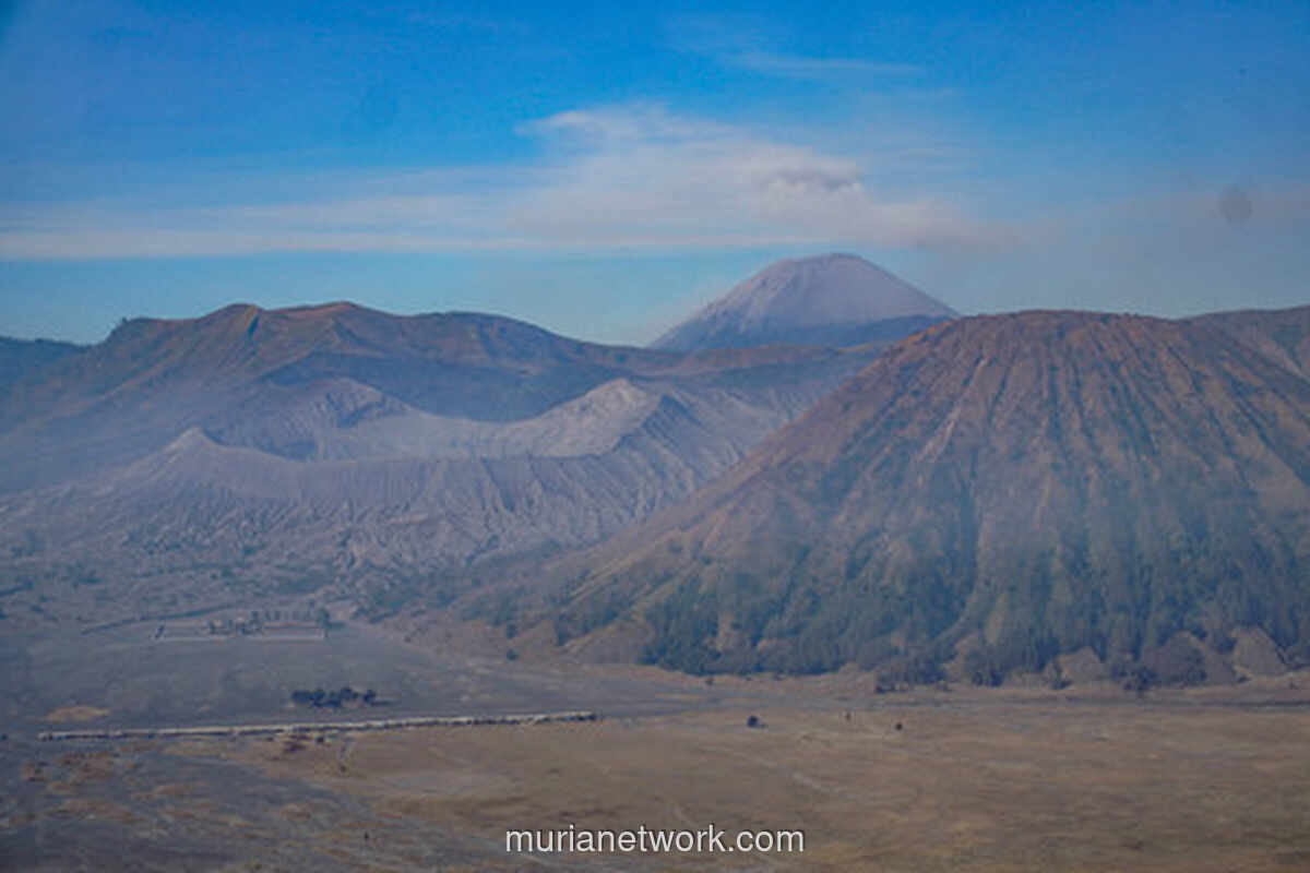 Kebakaran Hutan Meluas, TNBTS Tutup Akses Wisata Bromo