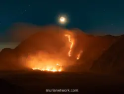 Kebakaran Melanda Bromo, 176 Hektare Lahan Terbakar dan Akses Wisata Ditutup