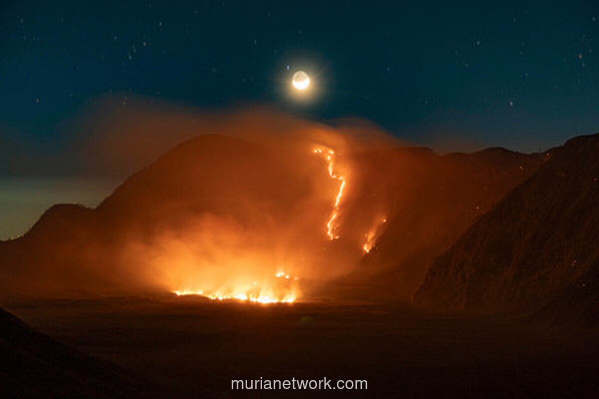 Kebakaran Melanda Bromo, 176 Hektare Lahan Terbakar dan Akses Wisata Ditutup