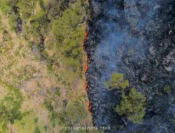 Kebakaran Hutan Landa 80 Hektare Savana Bromo, Jalur Wisata Ditutup