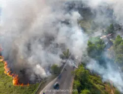 Kebakaran Lahan di Ogan Ilir, Pengendara Tetap Melintas di Tengah Kepungan Api