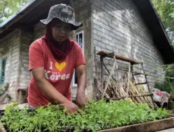 18 KK Transmigran di Kerinci Bertahan Tanpa Listrik, Menanti Lahan Usaha II