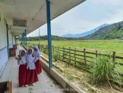 Satu-satunya SD di Desa Renah Kasah, 38 Siswa Belajar di Tiga Ruang Kelas