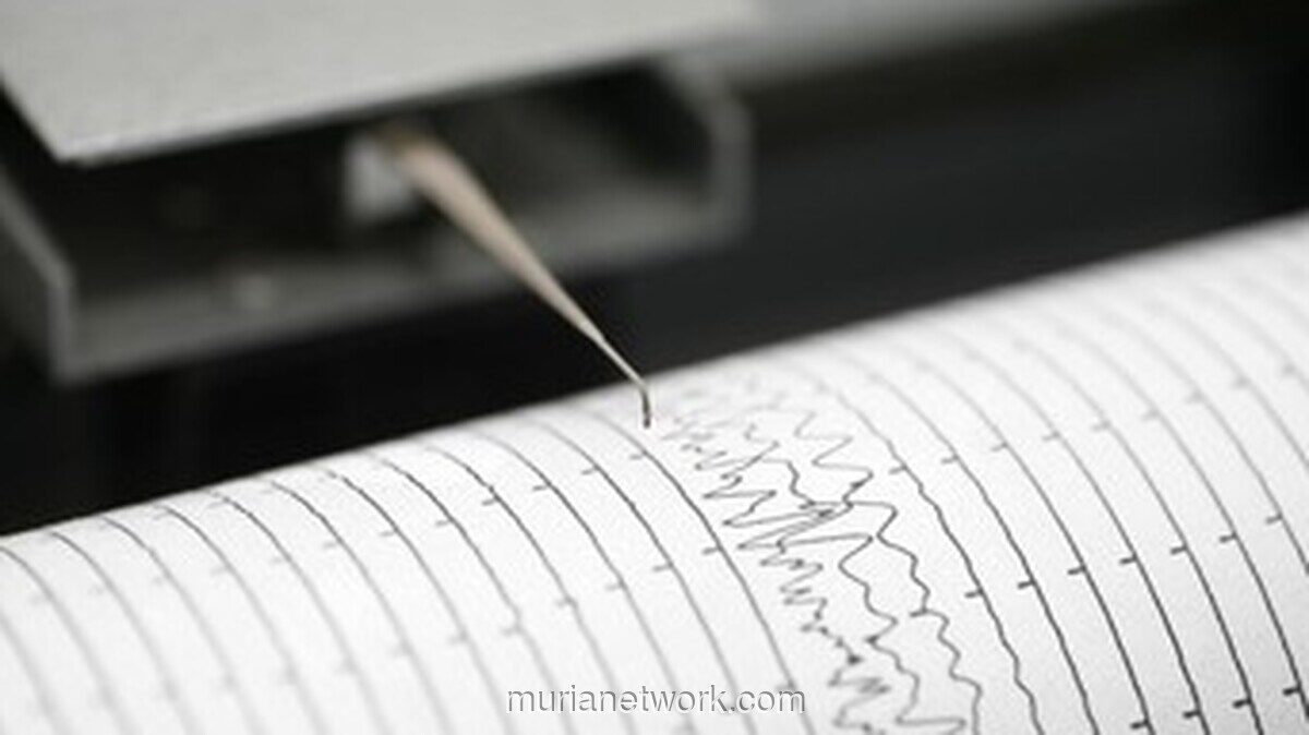 Gempa Magnitudo 5,6 Guncang Halmahera Barat, BMKG: Tidak Berpotensi Tsunami
