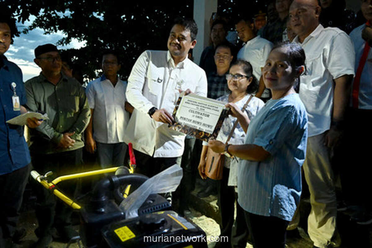 Pemprov Sumut Bangun Rumah Produksi Kelapa di Nias Utara
