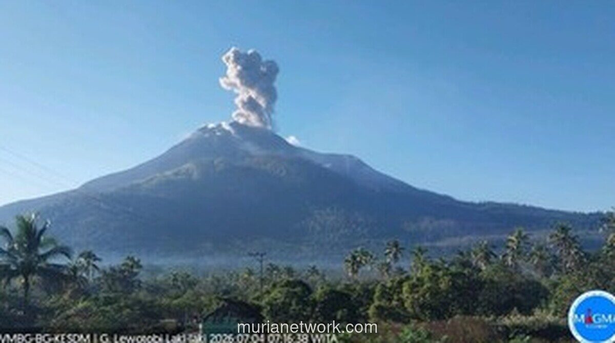 Gunung Lewotobi Laki-laki Erupsi Dua Kali, Kolom Abu Capai 800 Meter