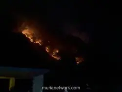 Kebakaran Melanda Gunung Picung Cianjur, Diduga Dipicu Pembakaran Sampah