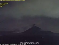Gunung Semeru Erupsi, Kolom Abu Capai 800 Meter