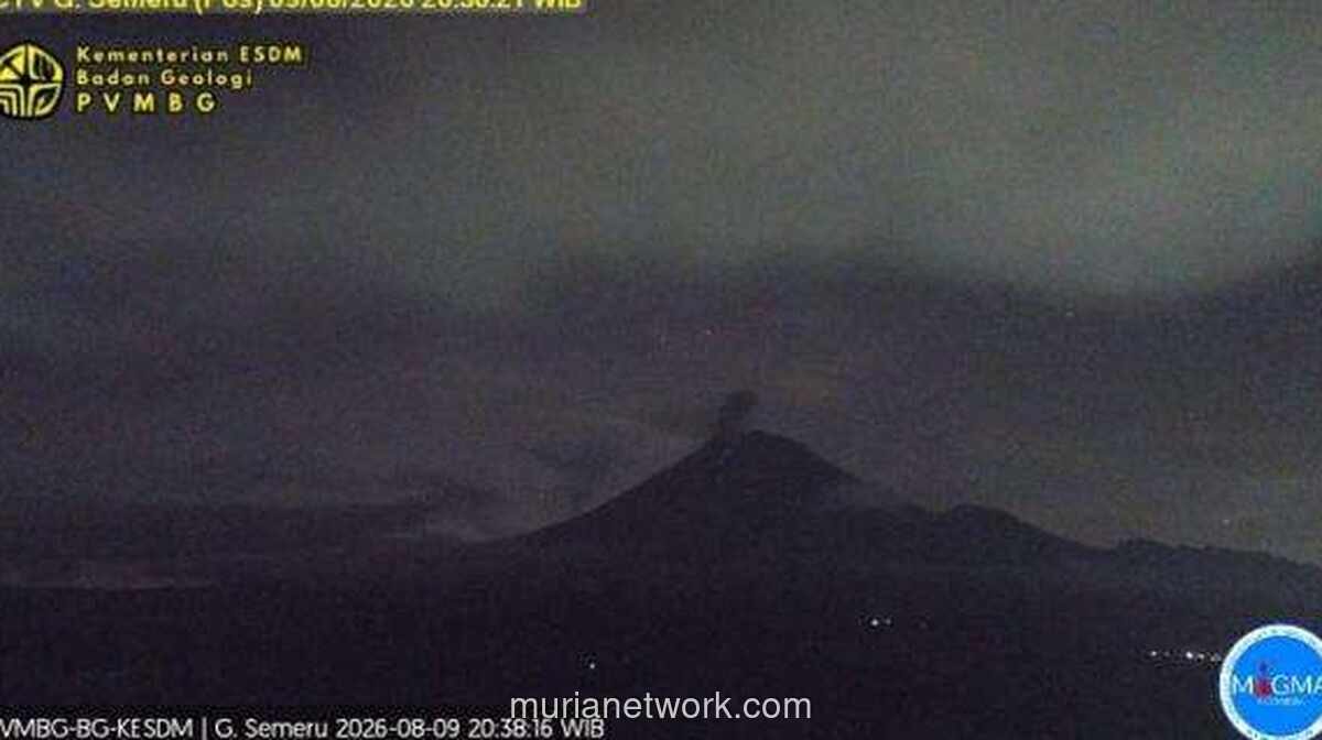 Gunung Semeru Erupsi, Kolom Abu Capai 800 Meter