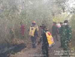 Kebakaran Hutan Gunung Soputan Meluas, Lebih 200 Hektare Terbakar